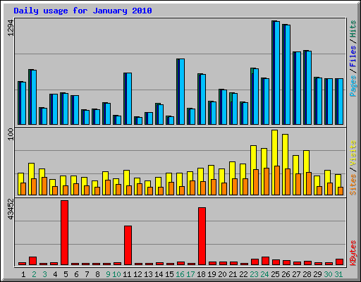 Daily usage for January 2010