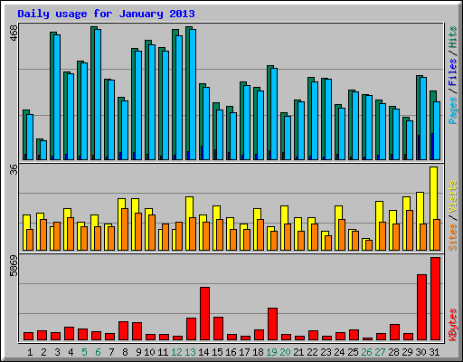 Daily usage for January 2013