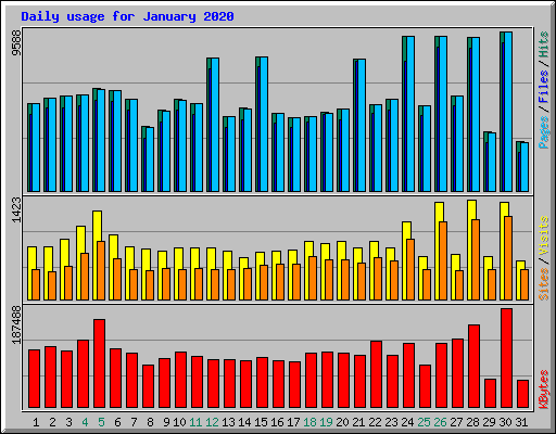 Daily usage for January 2020