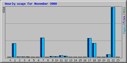 Hourly usage for November 2008