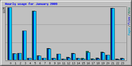 Hourly usage for January 2009