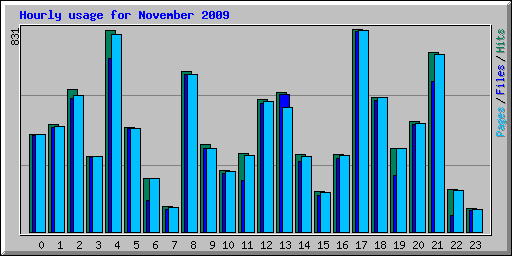 Hourly usage for November 2009