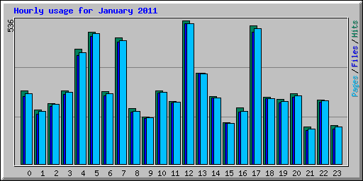 Hourly usage for January 2011