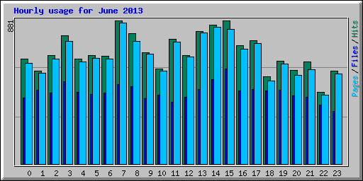 Hourly usage for June 2013