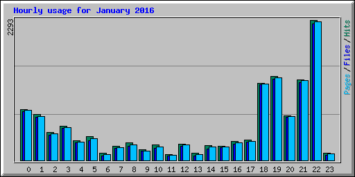 Hourly usage for January 2016