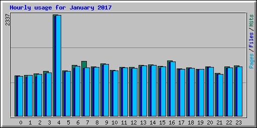 Hourly usage for January 2017