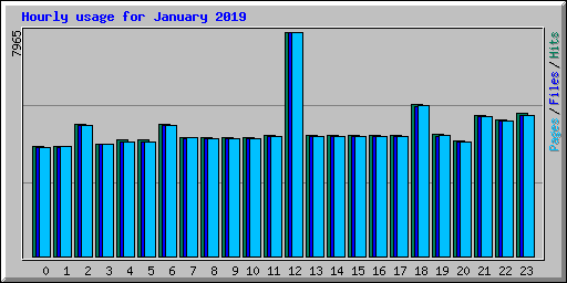 Hourly usage for January 2019