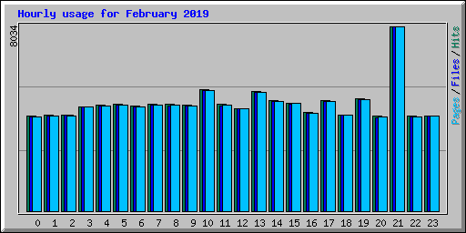 Hourly usage for February 2019