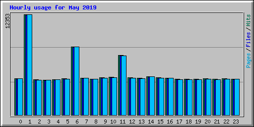 Hourly usage for May 2019