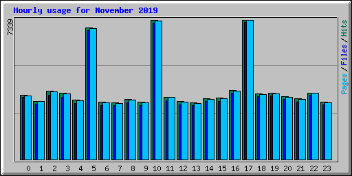 Hourly usage for November 2019