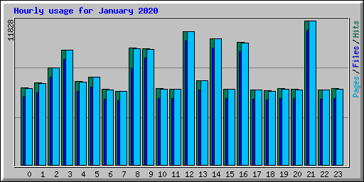 Hourly usage for January 2020
