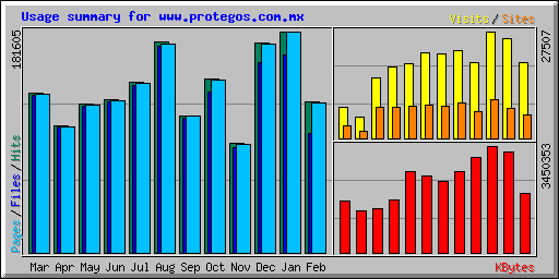 Usage summary for www.protegos.com.mx